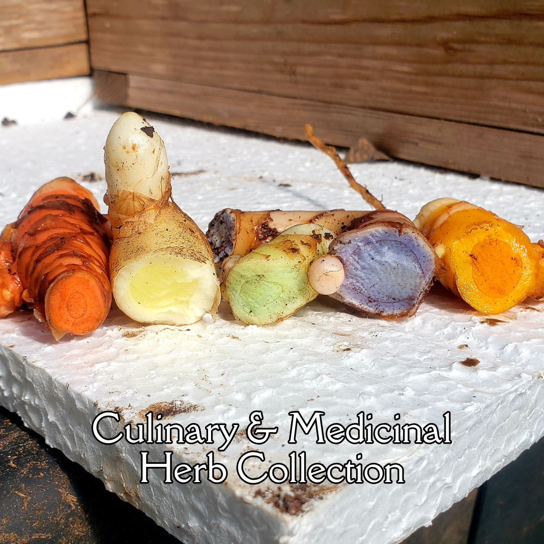 Medicinal & Culinary